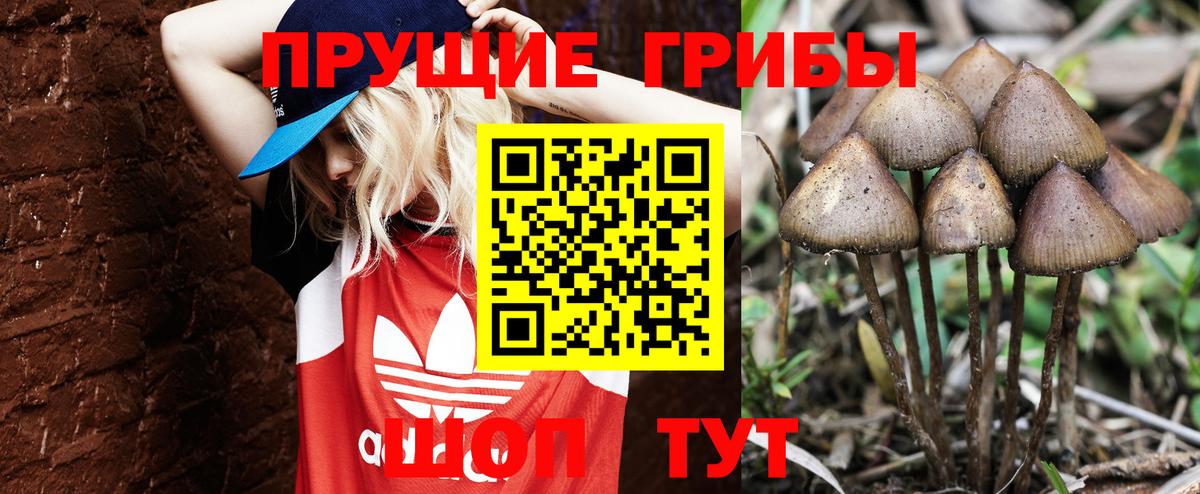 Галлюциногенные грибы GOLDEN TEACHER  Галлюциногенные грибы MAGIC MUSHROOMS  Вход с VPN  Джанкой 