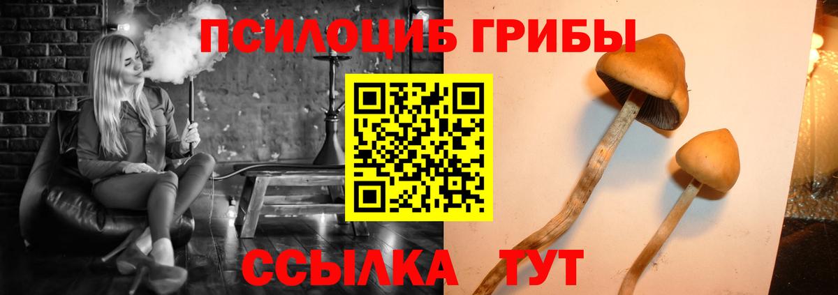 Псилоцибиновые грибы Psilocybine cubensis Джанкой